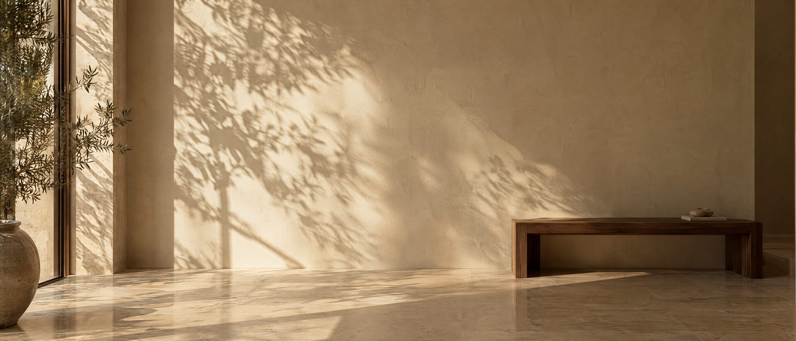 Afternoon light and olive leaf shadows on a limewash wall